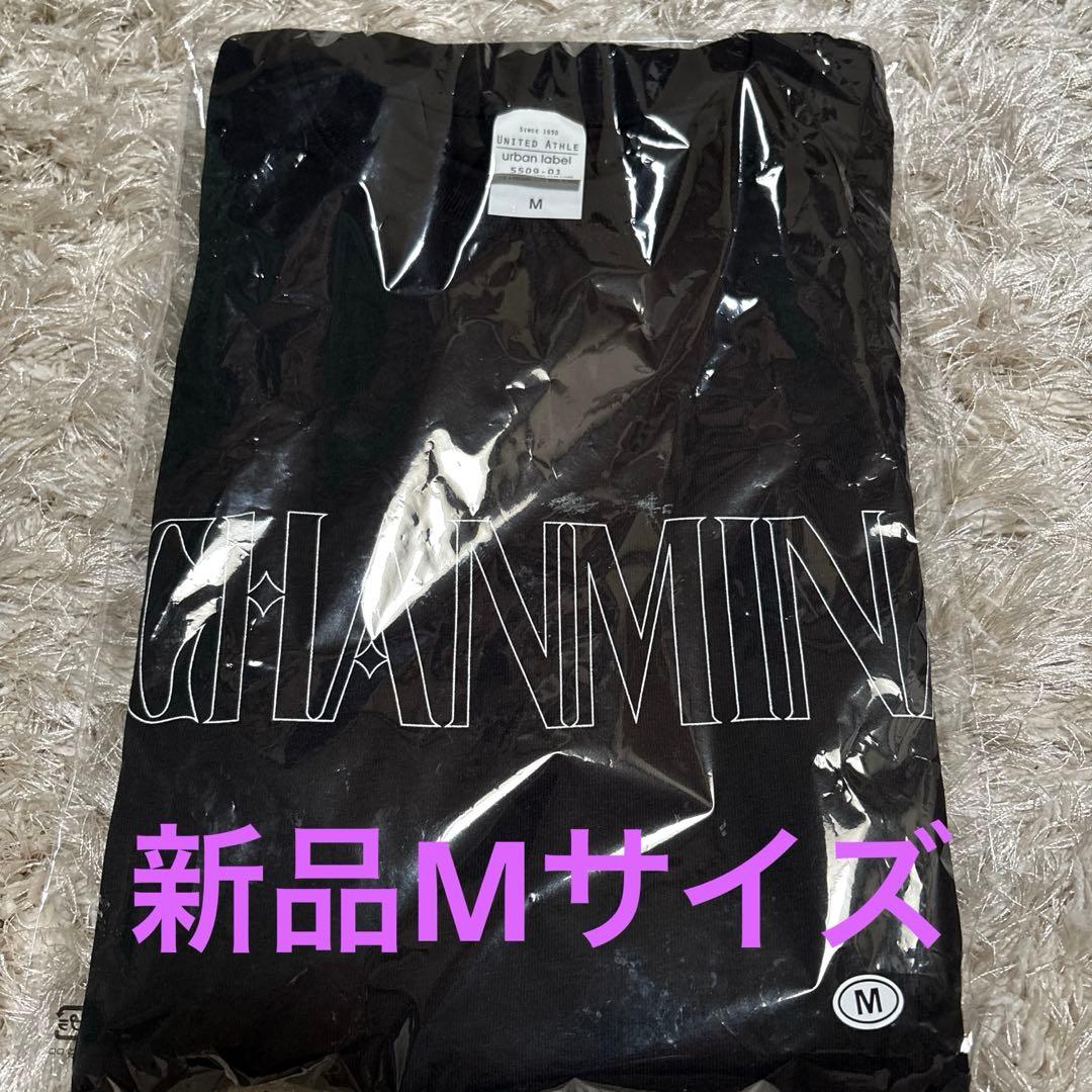 ちゃんみな AOD4 ロングスリーブTシャツ Mサイズ新品！