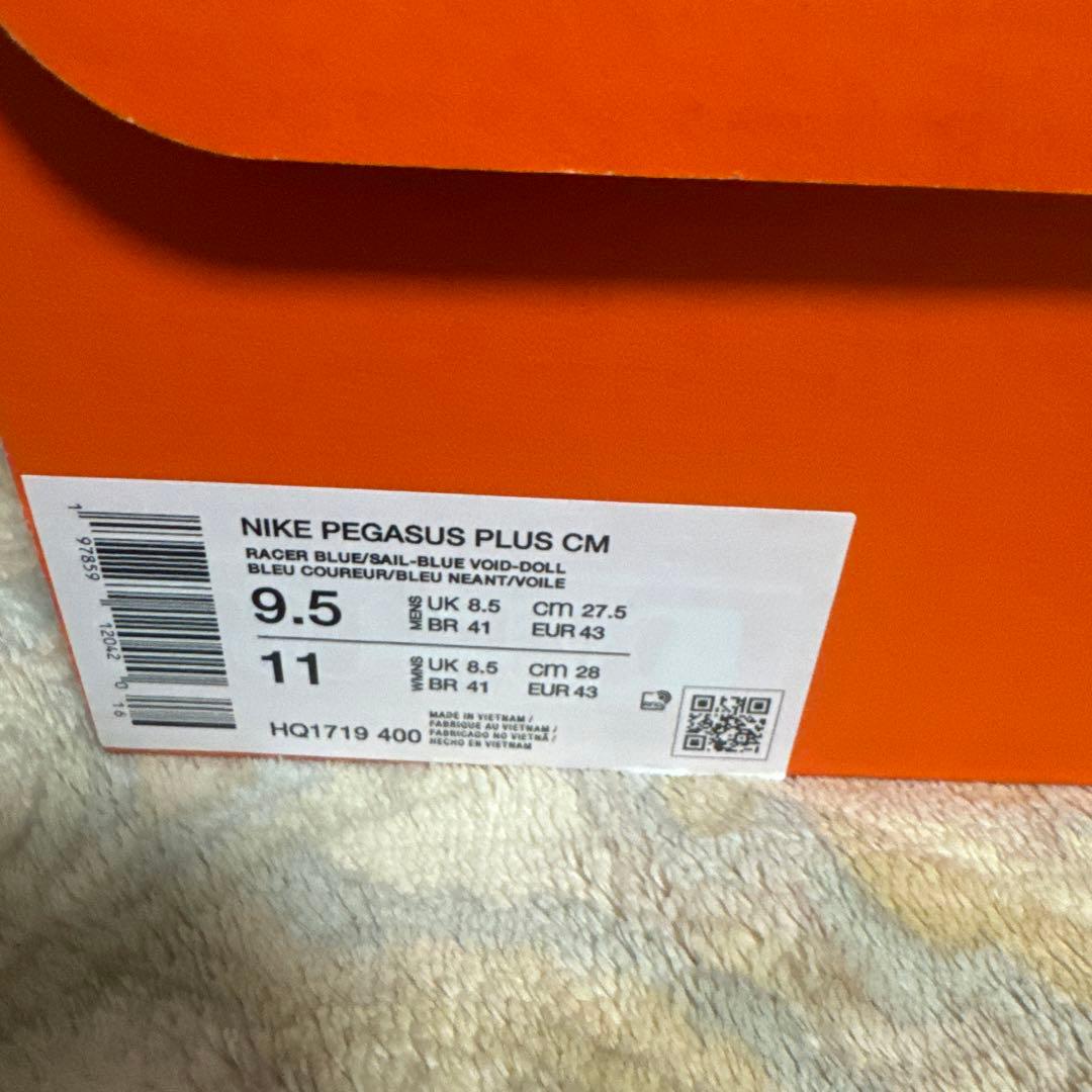 ナイキ　ペガサスプラスCM 27.5