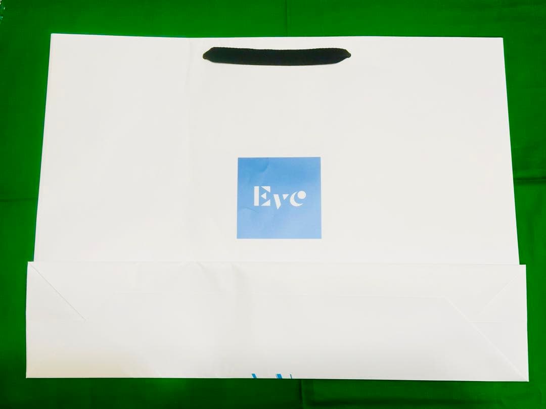 Eve 蒼像 特典 ポストカード ショッパー 等 グッズ