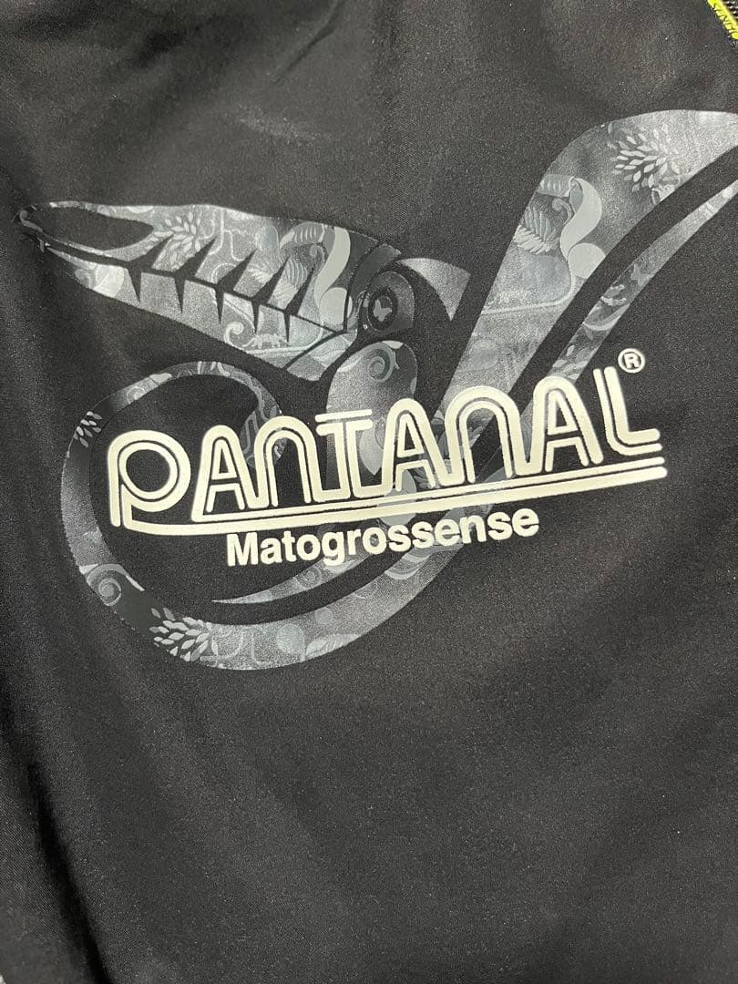 【希少】PANTANAL セットアップ 上下Ｌセット フード付き