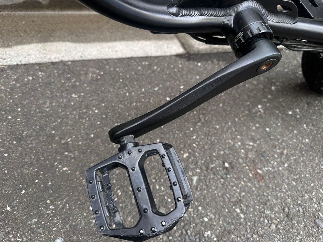 BRONX BUGGY 20 電動アシスト自転車 ブラック