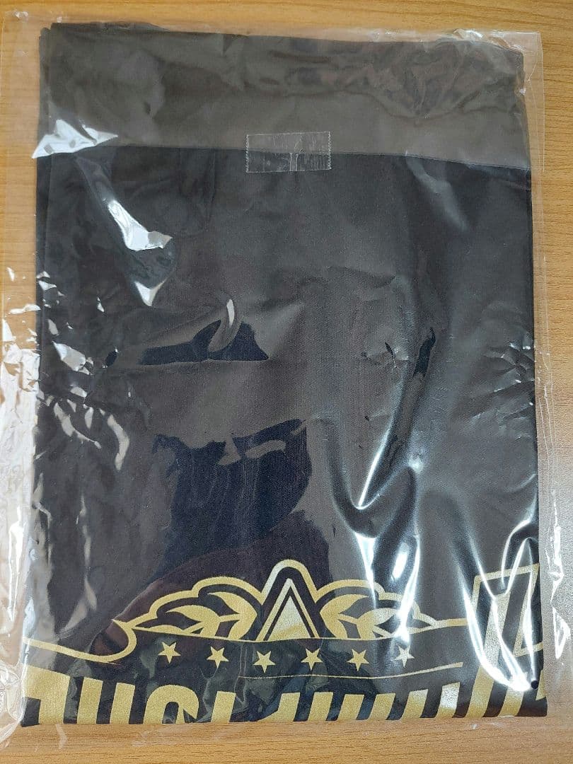 阪神タイガース2025JERAセ・リーグ優勝記念ドライ Tシャツ XL