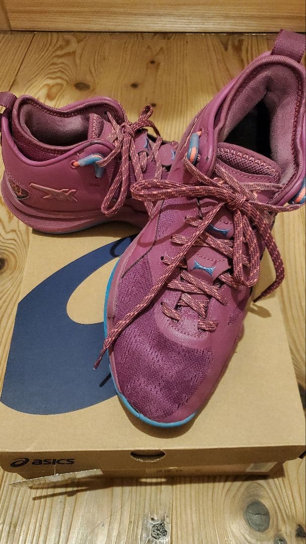 バスケシューズ ノヴァサージロー2 NOVA SURGE LOW2 25.5cm