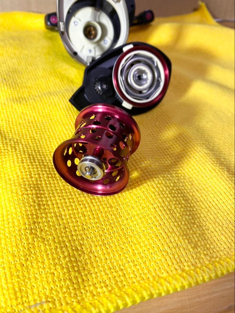 ダイワ SS AIR 8.1L