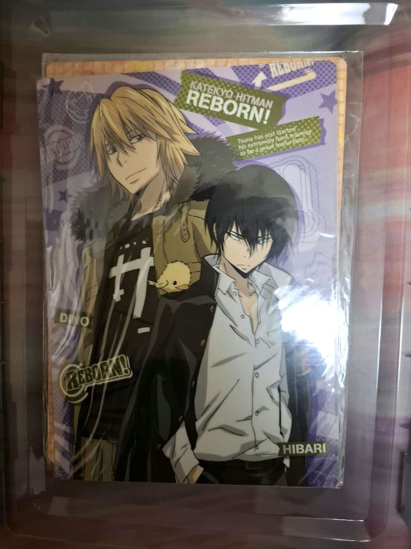 REBORN! クリアファイル 下敷きセット