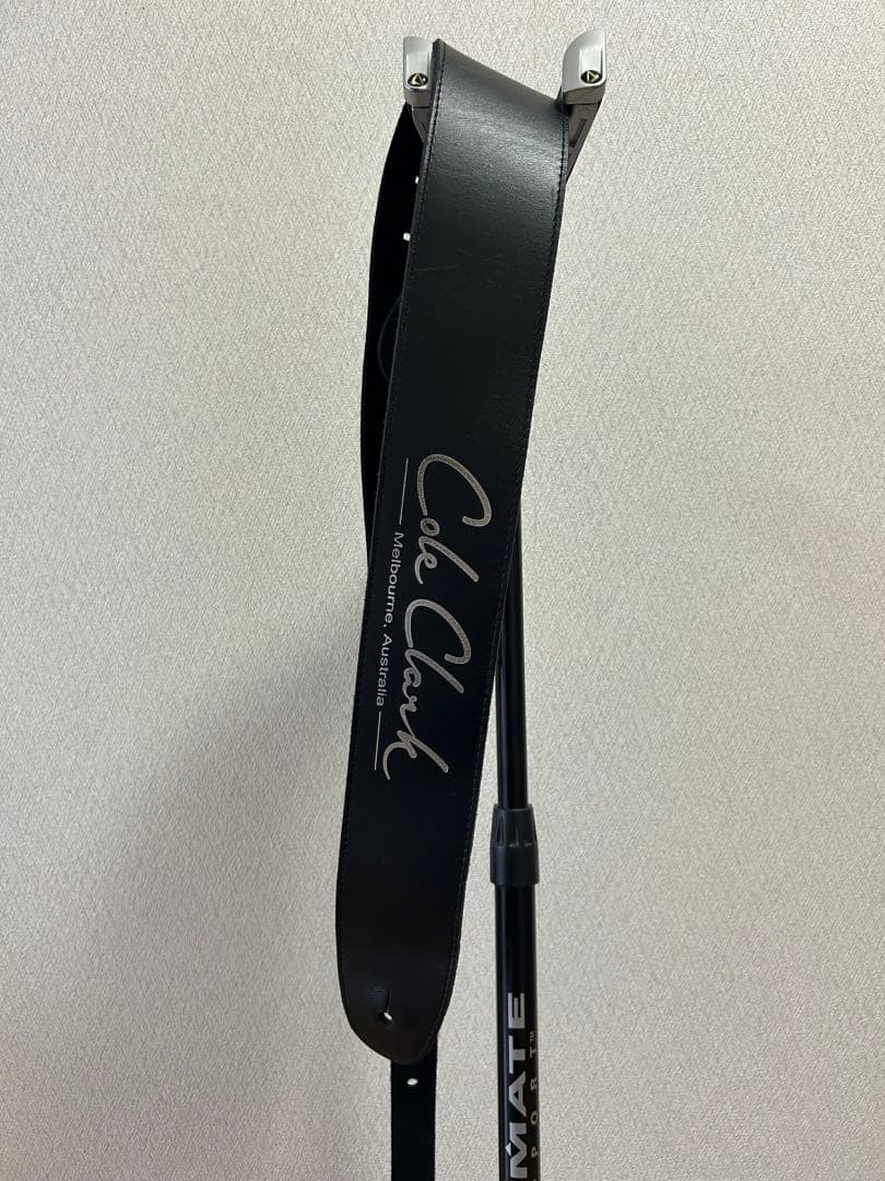 ギター Cole Clark FL2AC