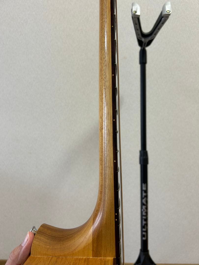 ギター Cole Clark FL2AC