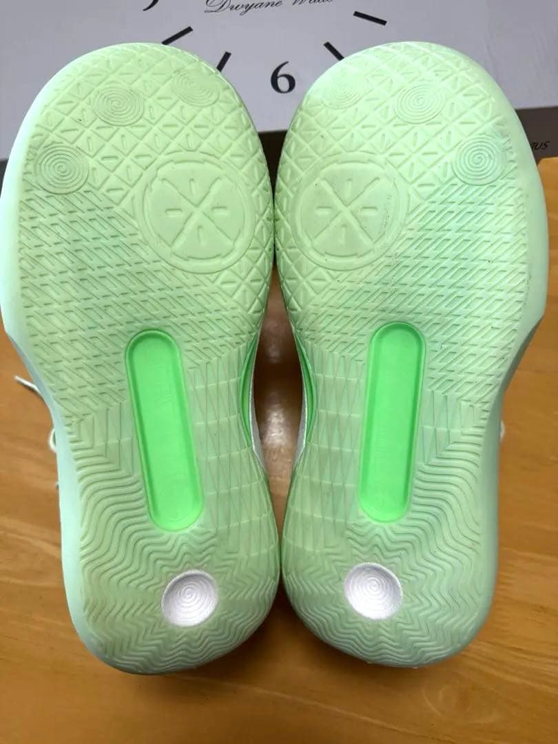 リーニン WADE ALL CITY 12 ENCORE バッシュ　26.5cm