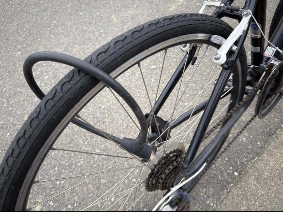 LOUIS GARNEAU LGS-CA クロスバイク 47インチ