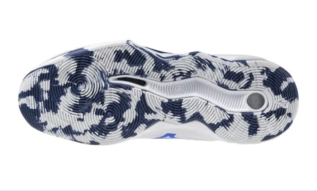 Mizuno Wave Momentum バッシュ