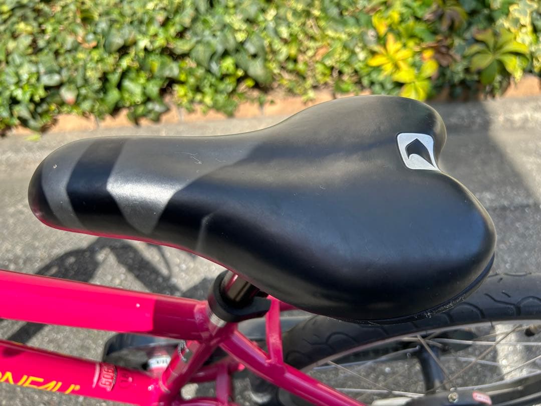直接お引渡し【LOUIS GARNEAU】こども自転車