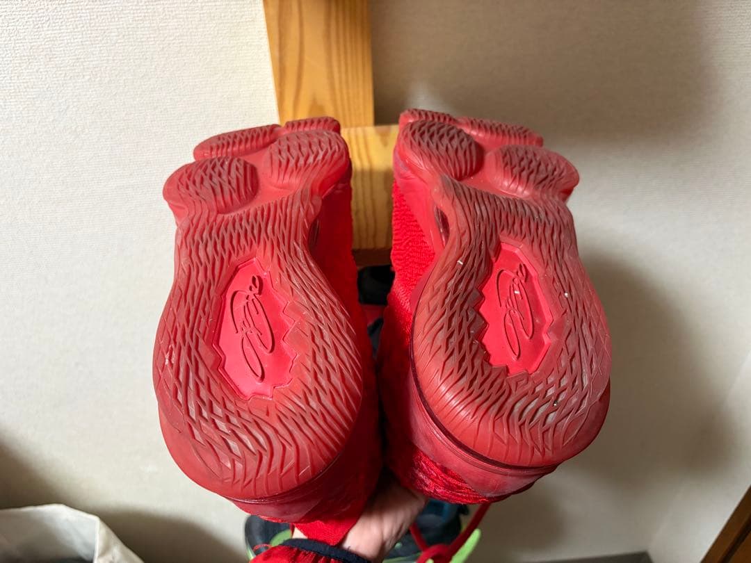 NIKE レブロン17 RED 25.5cm