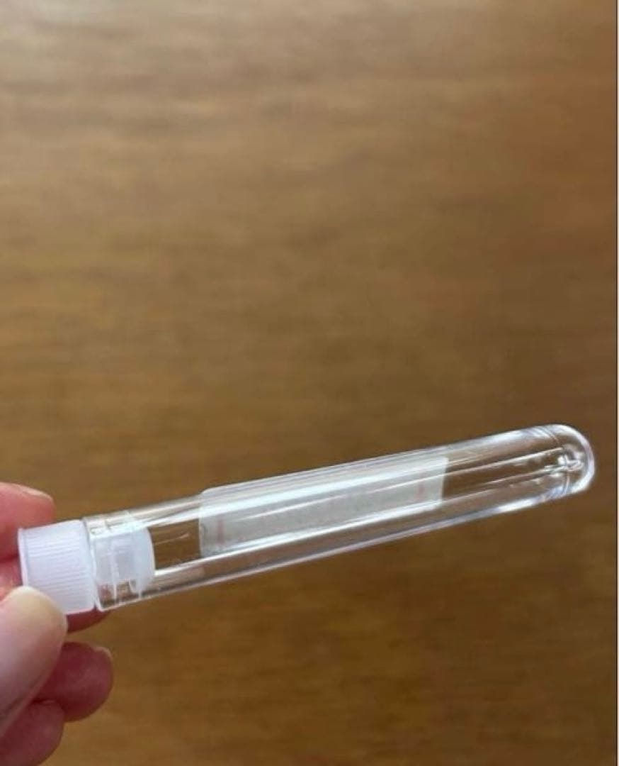 【椎名林檎】ピアス　ウヱポン円錐