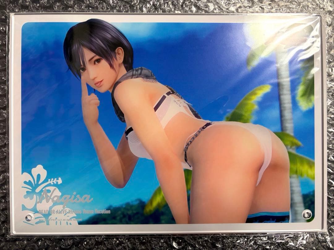 doaxvvアクリルボード なぎさ ブロマイド　2点セット