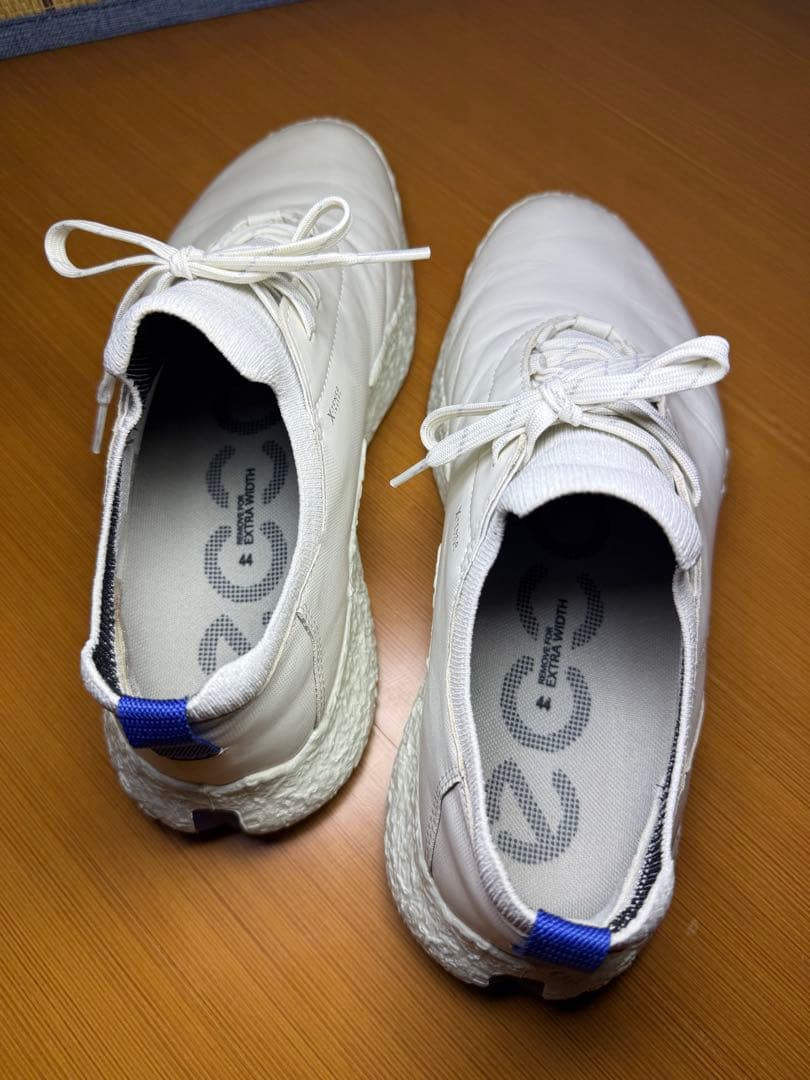 シューズ(男性用) ECCO Golf Biom H5 Hybrid Men