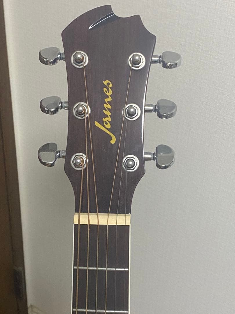 James アコースティックギター ブルー　　 J-300a