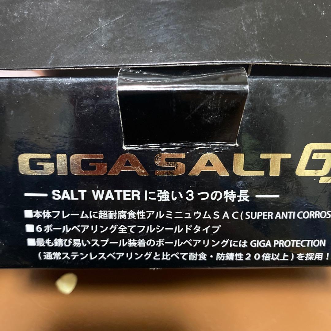 リアルメソッド　ギガソルトGS
