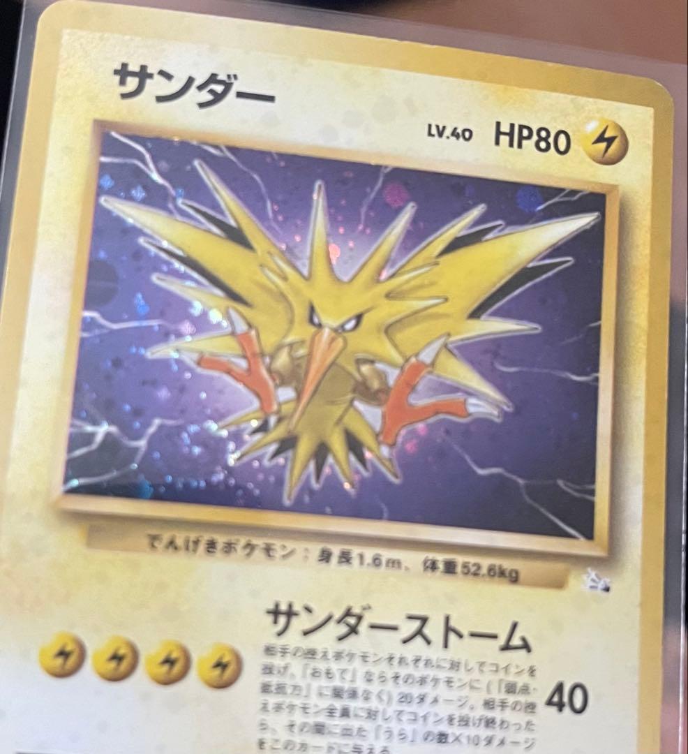 【防湿庫保管】旧裏 3鳥セット（化石の秘密）★うずまきサンダー入り