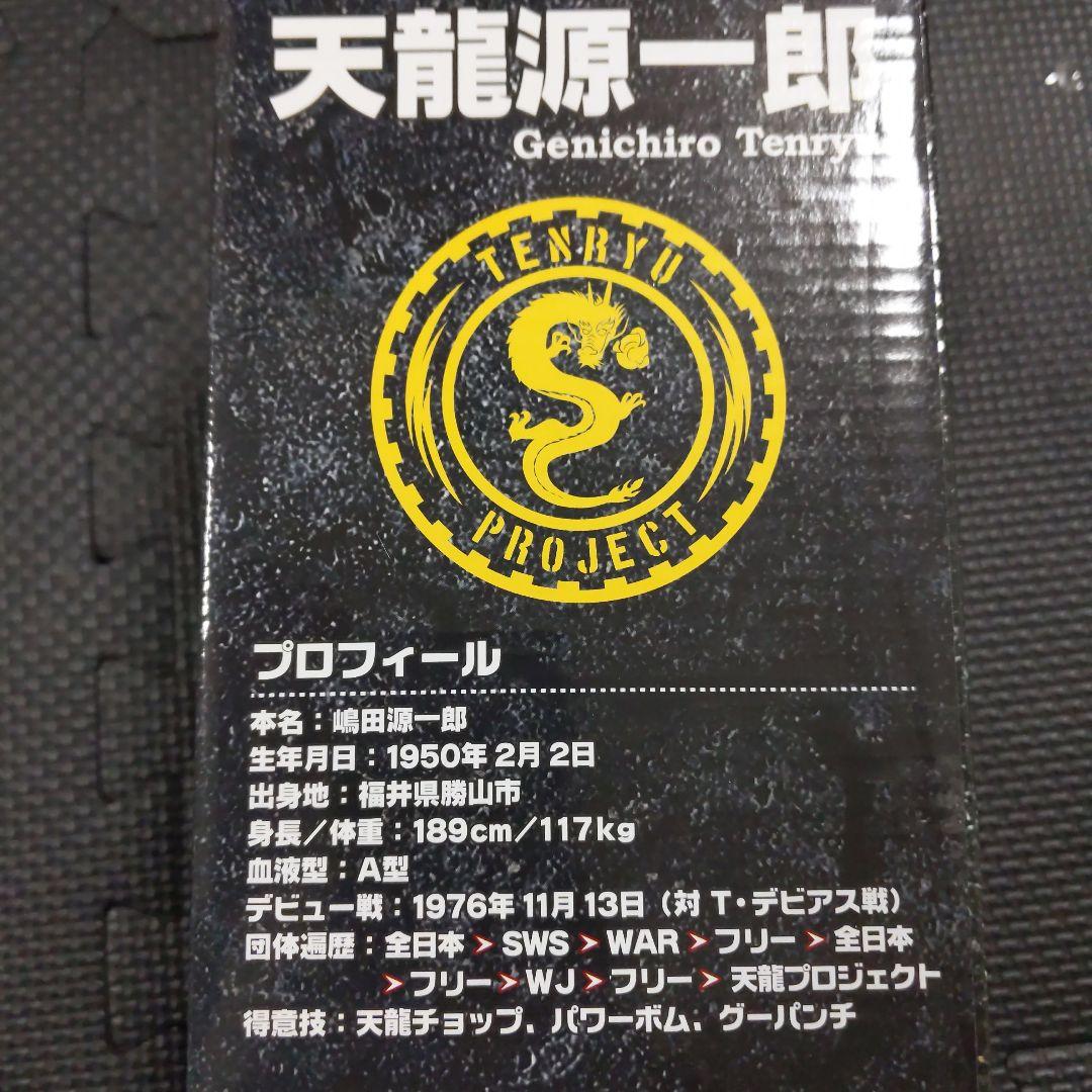 プロレス　天龍源一郎　引退記念 ソフビ　フィギュア