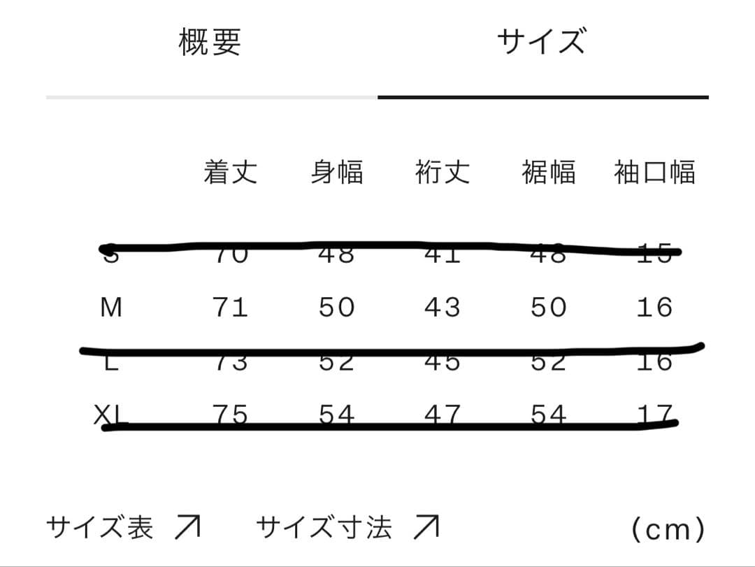 ノースフェイス ショートスリーブドライドットライトクルー（メンズ）Mサイズ