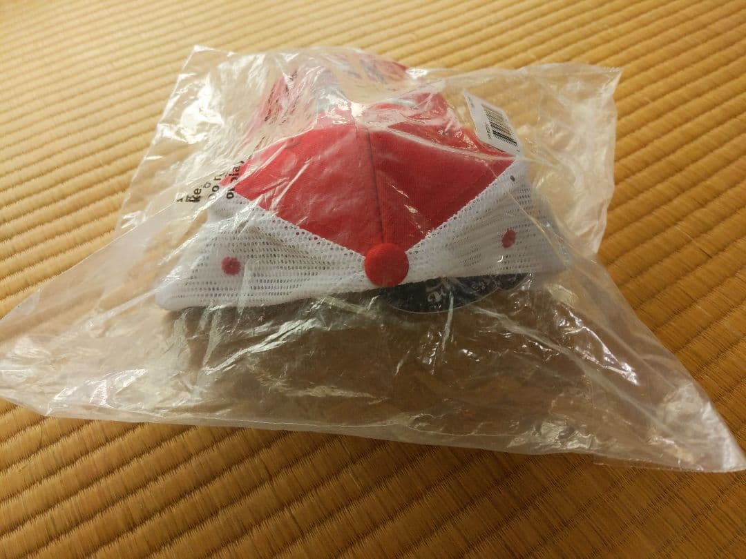 キャップ　メリーランドテラピンズ