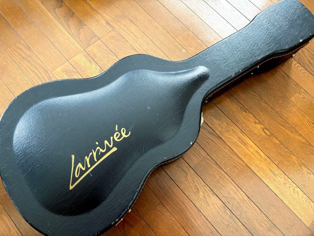 ギター Larrivee LV-10MR