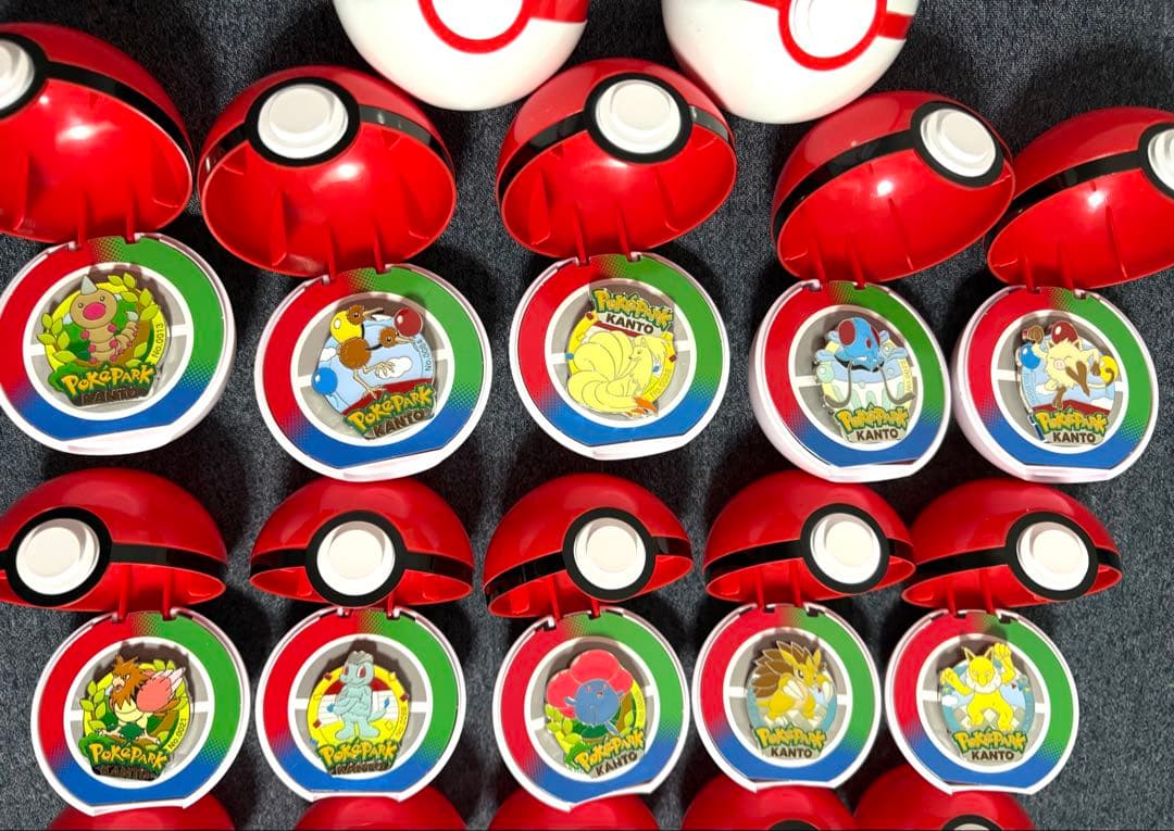 Pokepark Kanto ポケパークカントー　ピンバッジ　20種セット