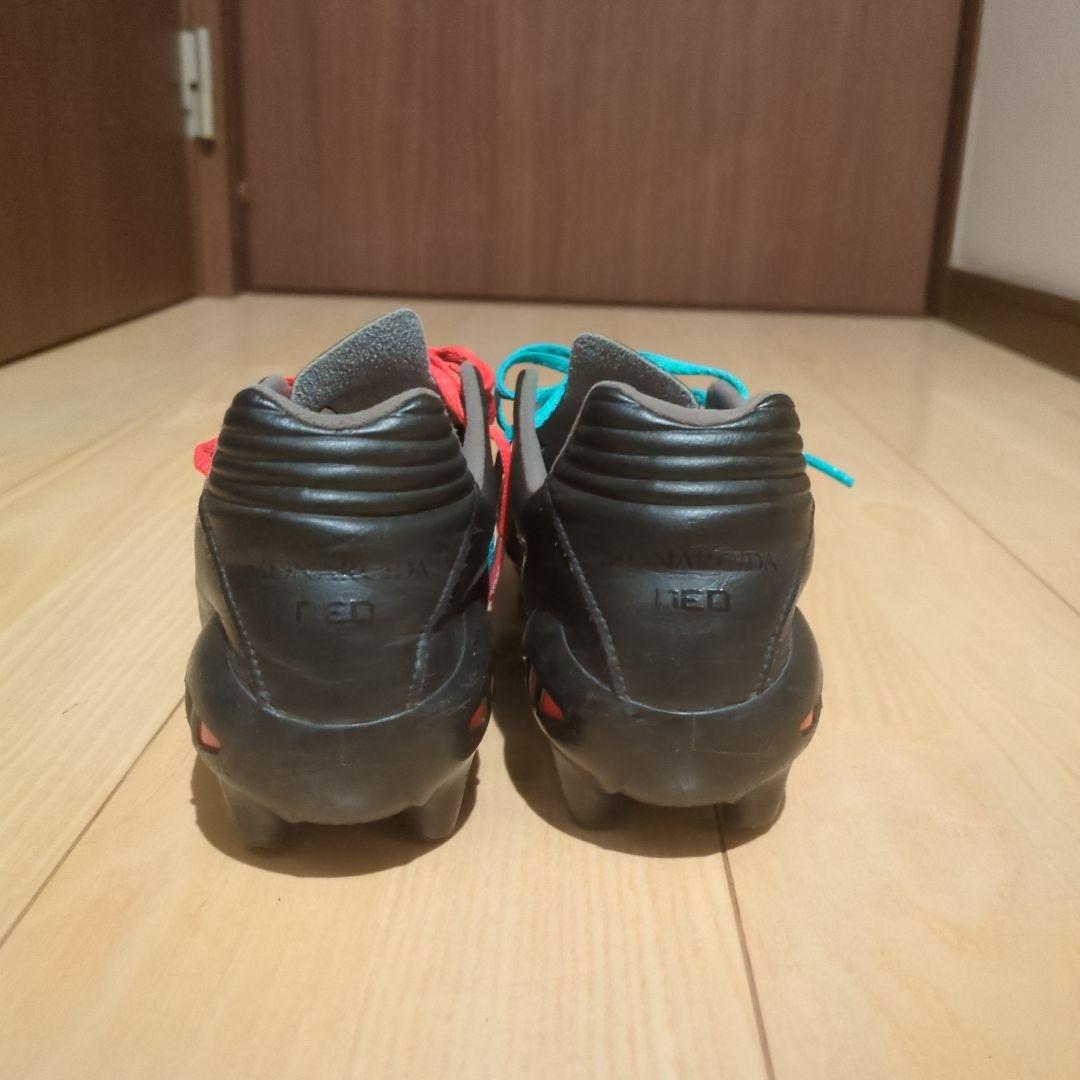 モナルシーダネオ