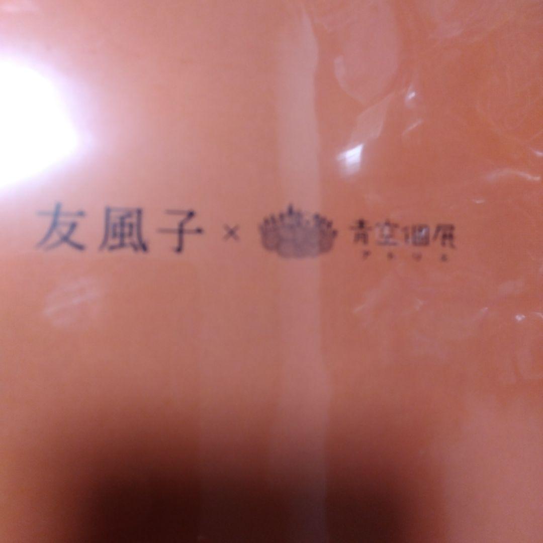 6192 友風子✕青空個展 　Ａ−４クリアファイル