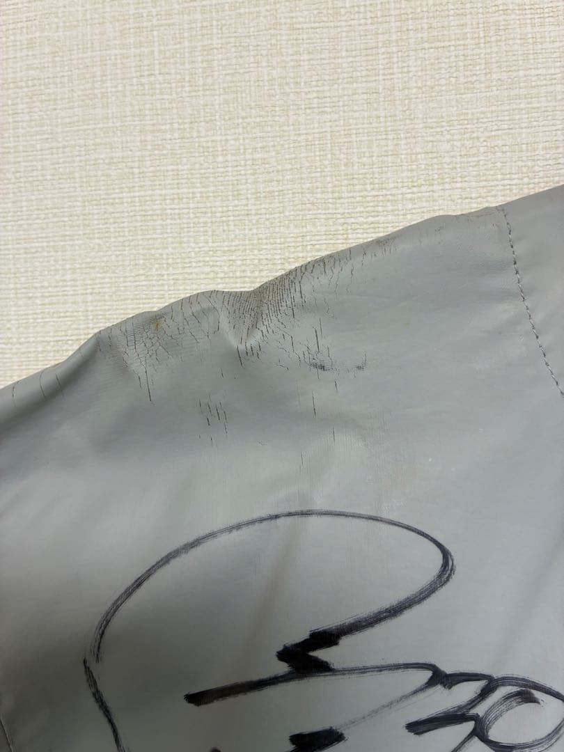 金子誠NIPPONHAMファイターズ サイン入り ユニフォーム 30