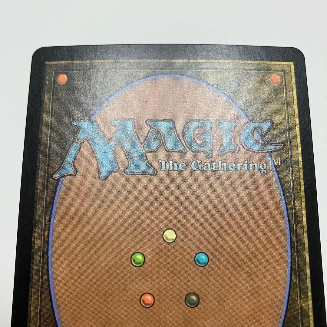 MTG 日を浴びるルートワラ 日本語版 foil 1枚 TOR版
