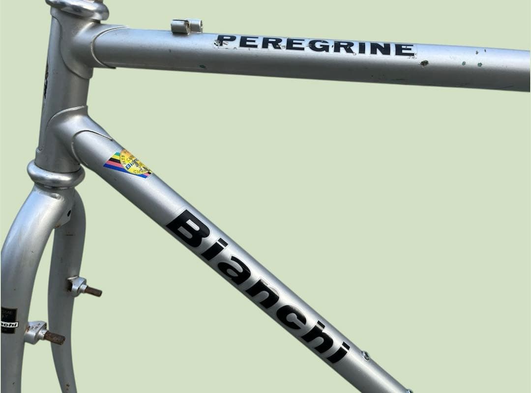 【希少90s】Bianchi PEREGRINE フレームセット オールドMTB