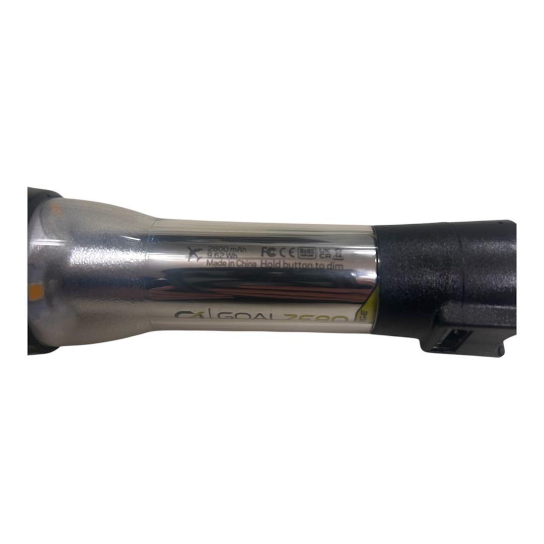 Goal Zero Lighthouse Micro Charge ゴールゼロ