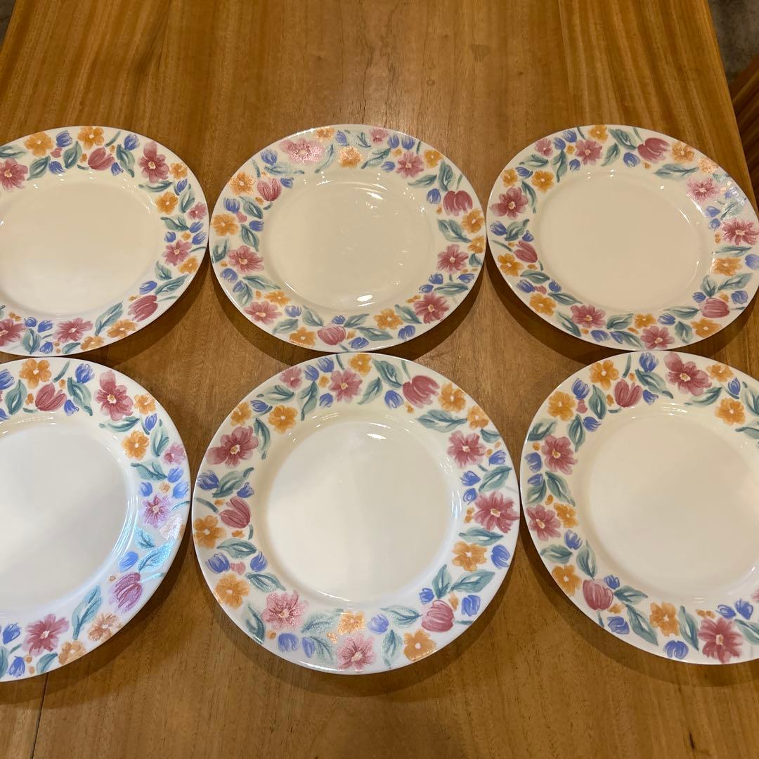 Vintage ARCOPAL Floride France Salad 6枚