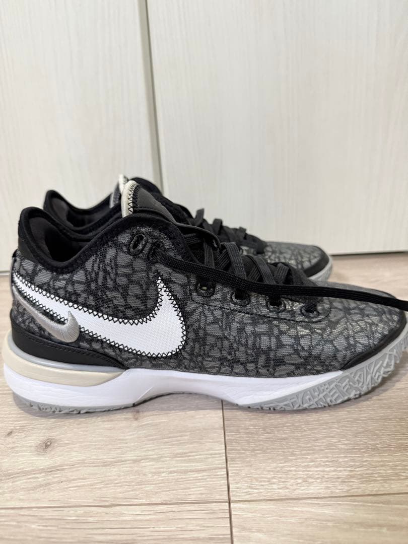 Lebron NXXT GEN 27センチ レブロン