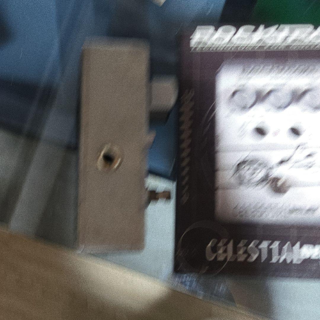 ギター ROCKTRON CELESTIAL DELAY