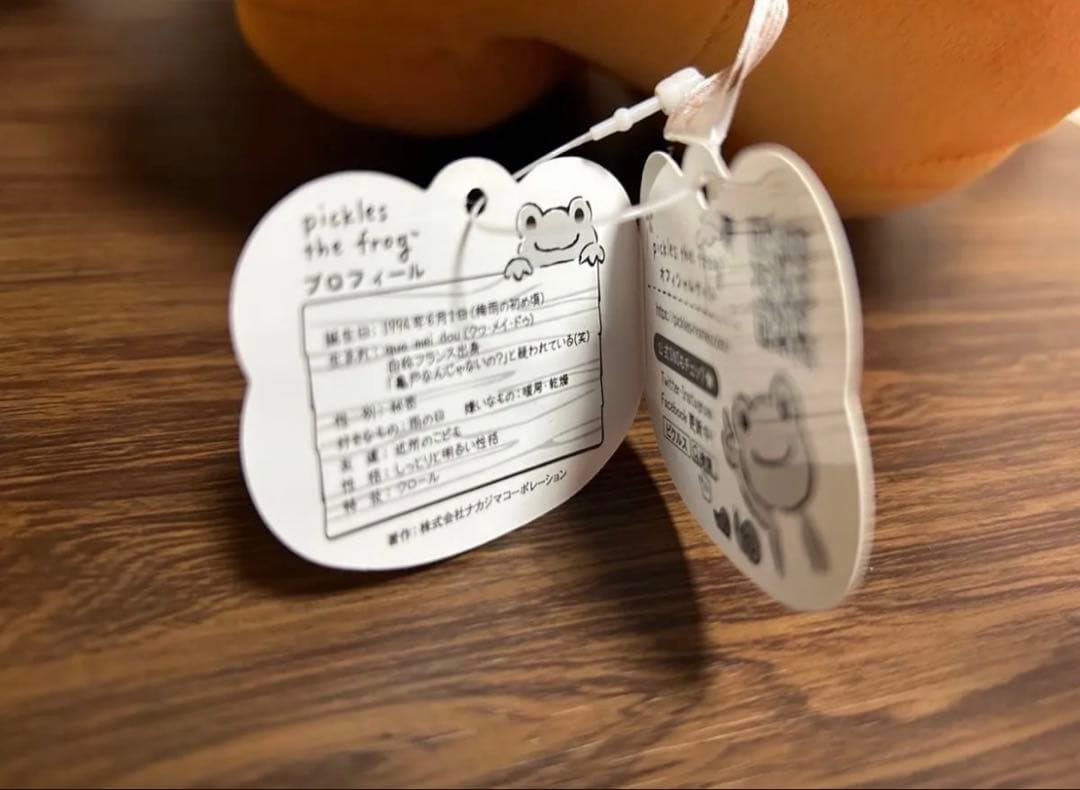 かえるのピクルス　カエル　もちもちおひるねBIG ぬいぐるみ　 マスコット