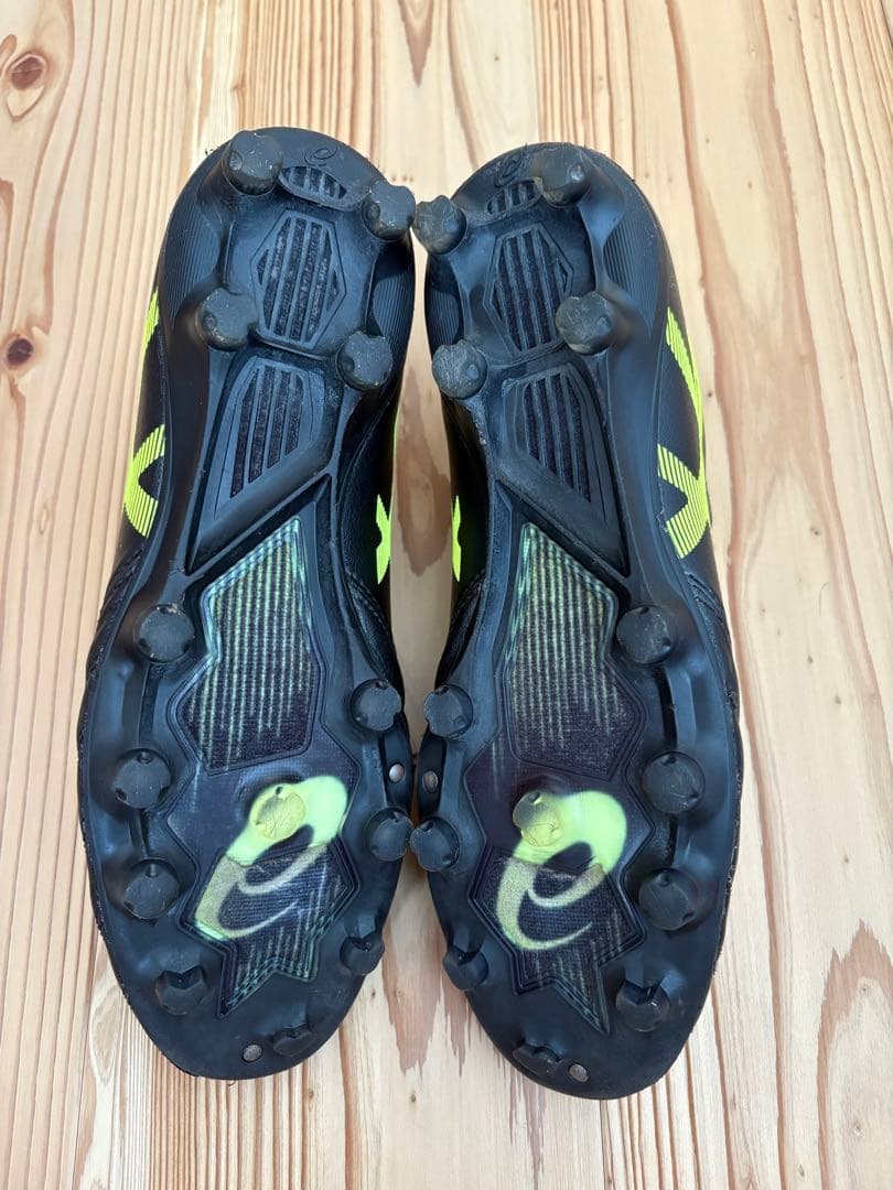 シューズ DS LIGHT x fly pro 26.0cm asics