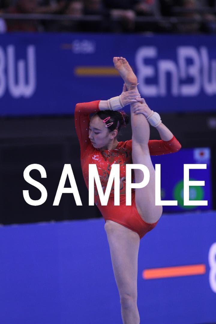 再販【3/23値上】2018年DTBチーム体操 日本女子選手画像集　約9200枚