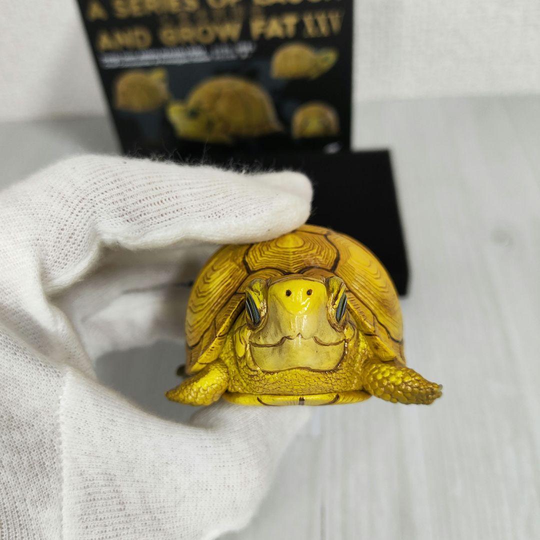 【動物の惑星】レア★ユカタンハコガメ★シークレット! フィギュア