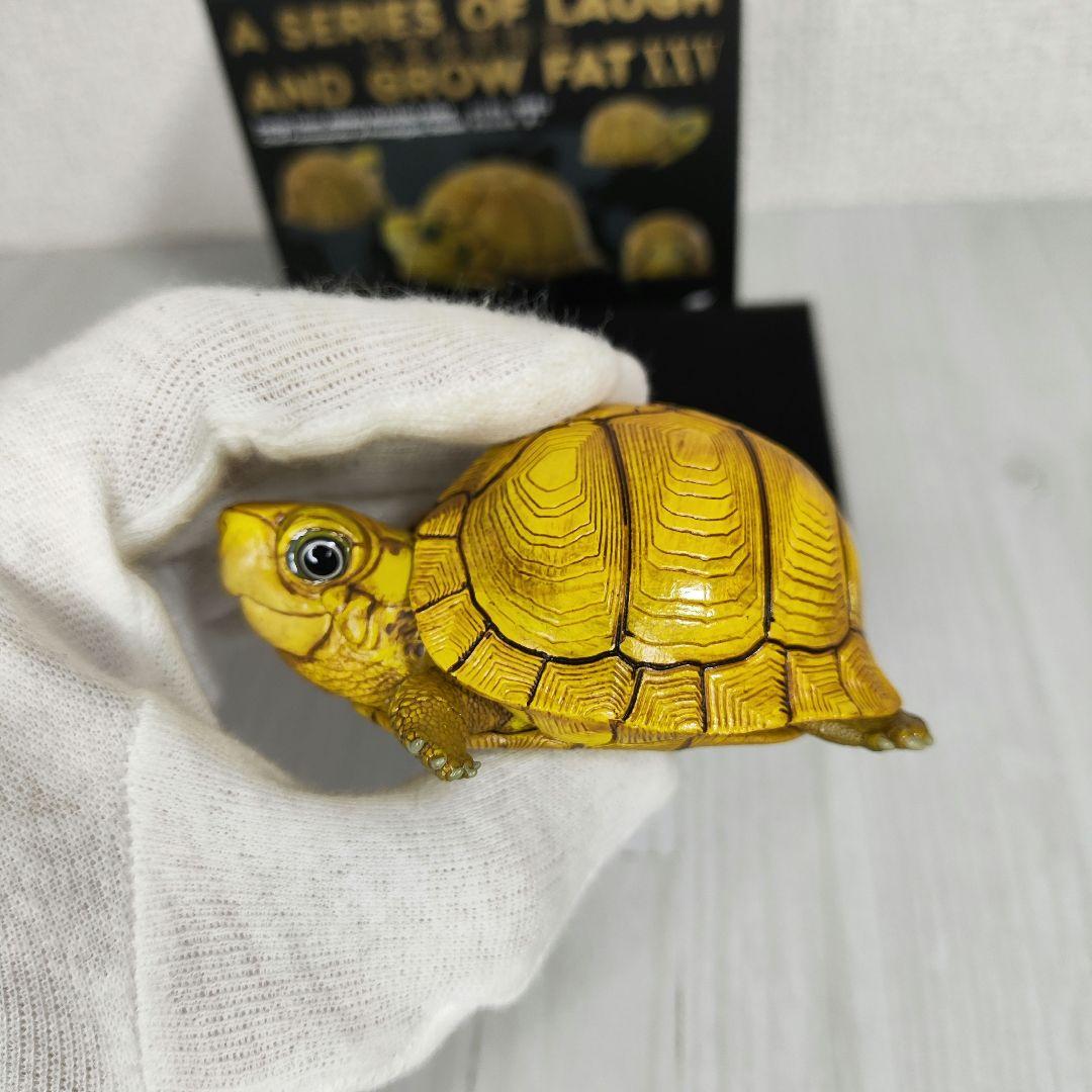 【動物の惑星】レア★ユカタンハコガメ★シークレット! フィギュア