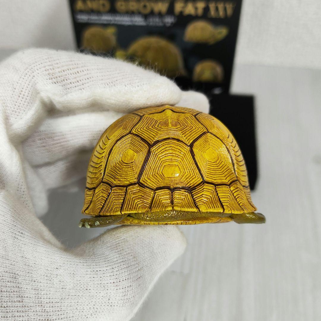 【動物の惑星】レア★ユカタンハコガメ★シークレット! フィギュア