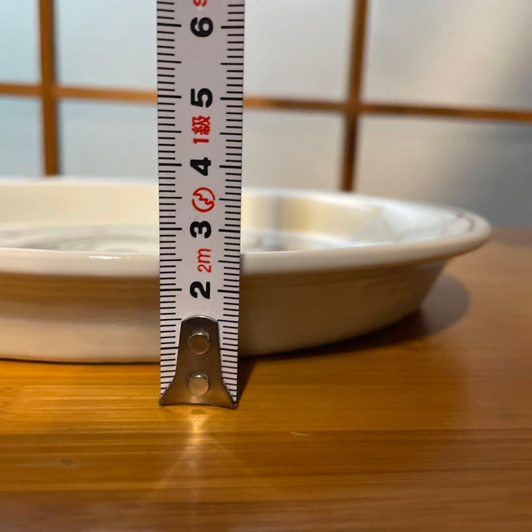 無汸庵 綿貫宏介 絵皿 食器 プレート 孔雀