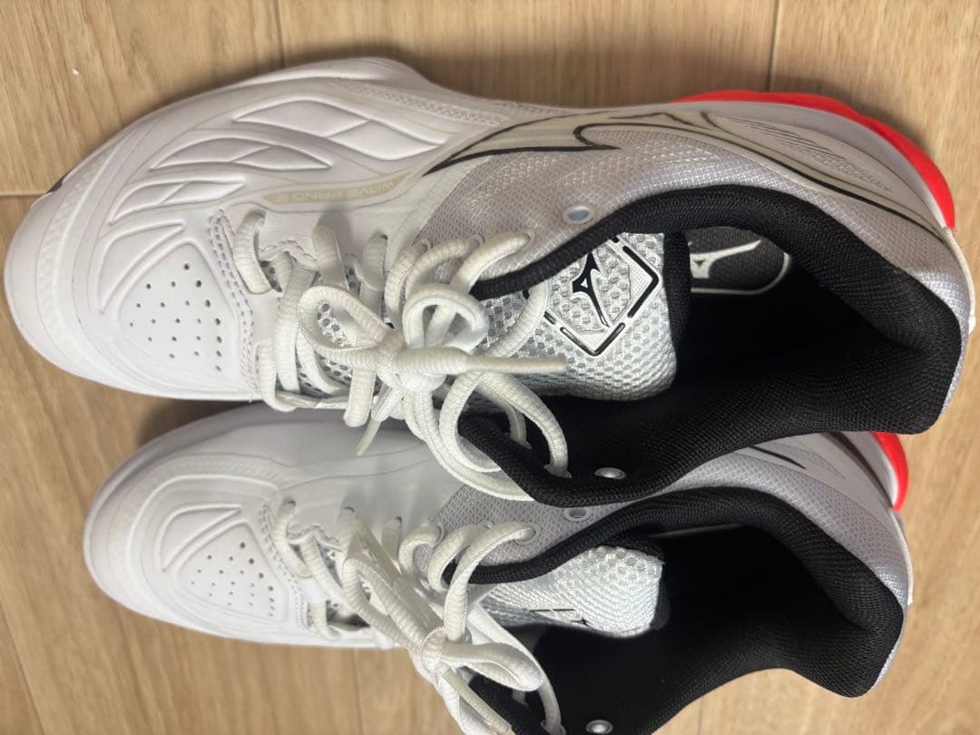 【値上げ中！】Mizuno WAVE FANG2 バドミントンシューズ 25cm