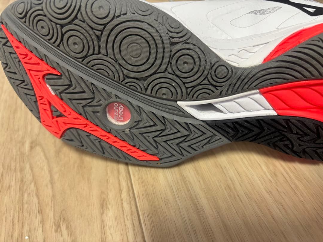 【値上げ中！】Mizuno WAVE FANG2 バドミントンシューズ 25cm