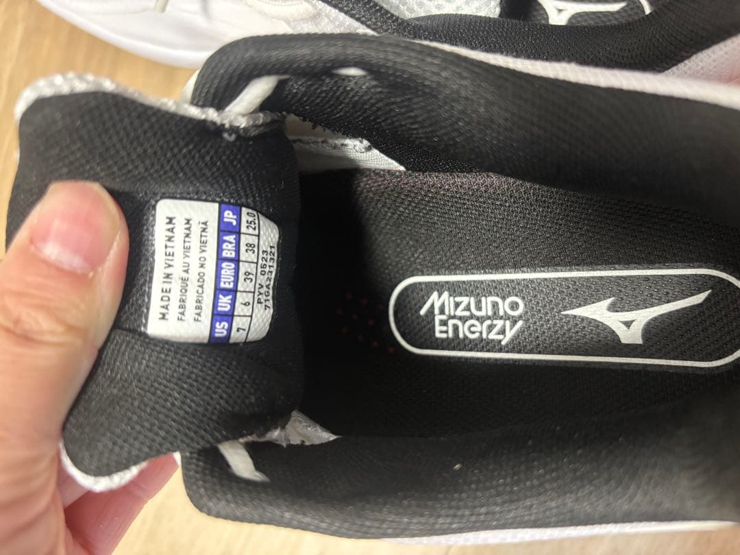 【値上げ中！】Mizuno WAVE FANG2 バドミントンシューズ 25cm