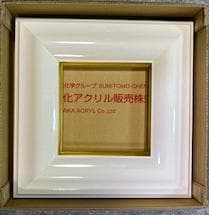 ミニ額　8枚セット（多色・アクリル付き）10角　15角　18×13ｃｍ