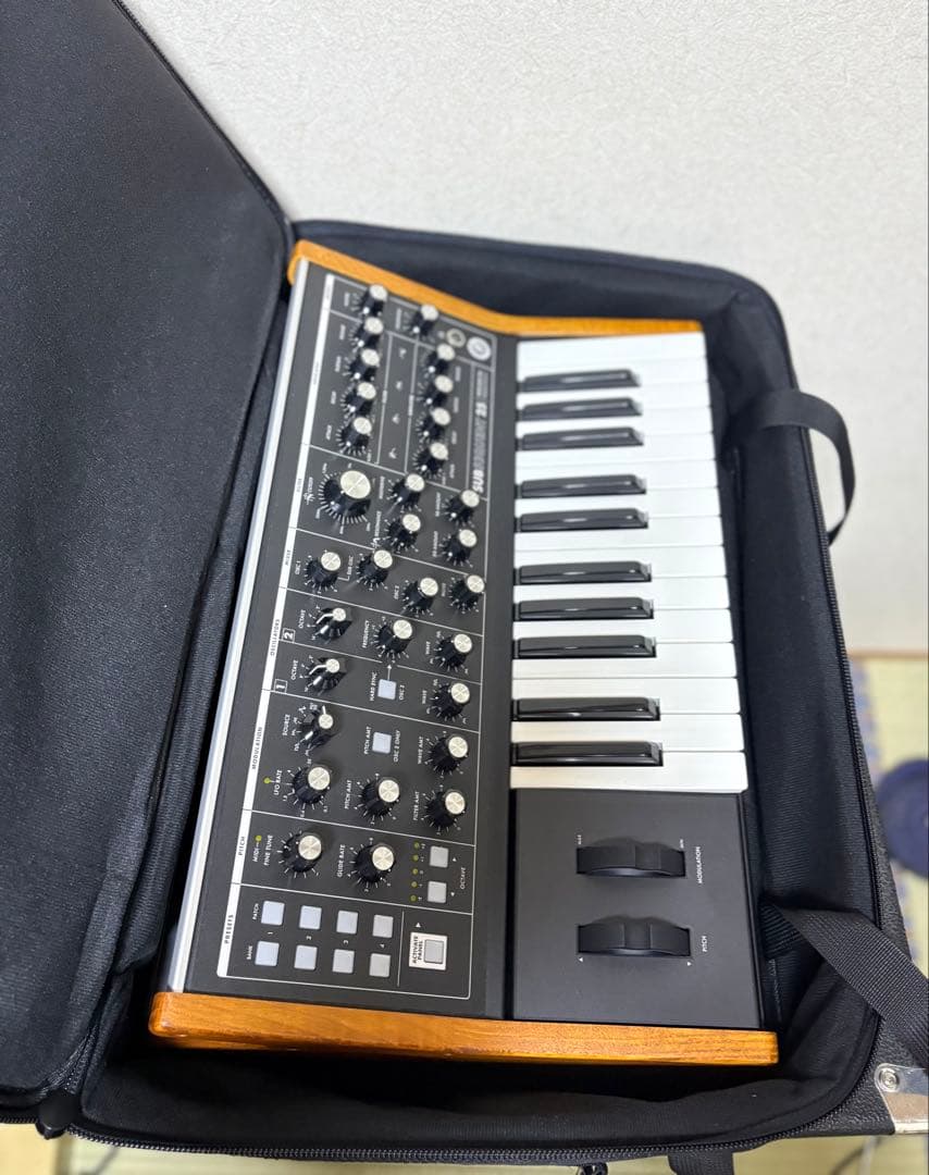 Moog Subsequent 25 ソフトケース
