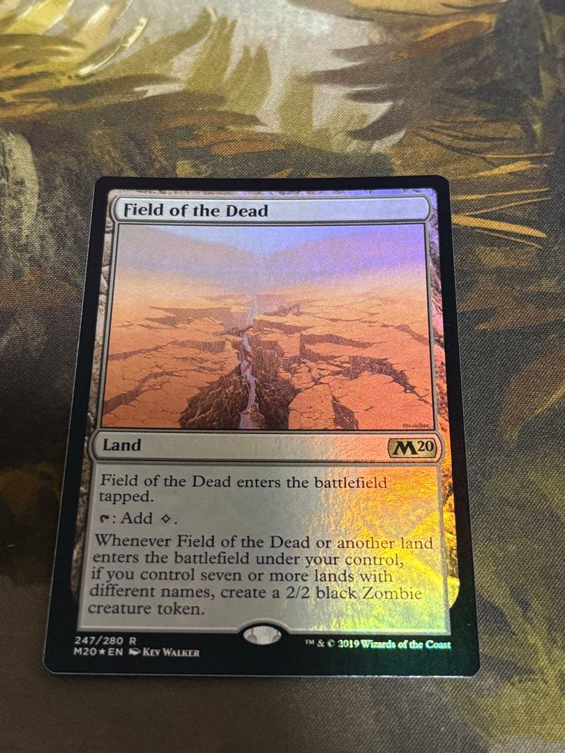 MTG 死者の原野 英語 foil