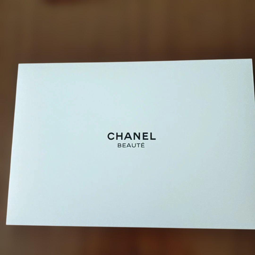CHANEL ノベルティ　　パソコンケース